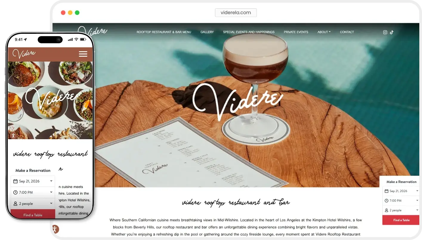 Videre website analytics preview