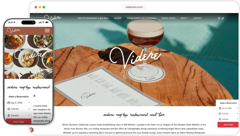 Videre website preview